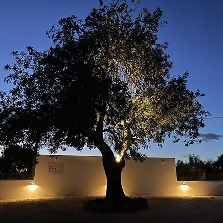 Monte Geracoes - Heated Pool - Typical Algarvian - Close To Quinta Lago, Vale Lobo And Vilamoura 阿尔曼萨